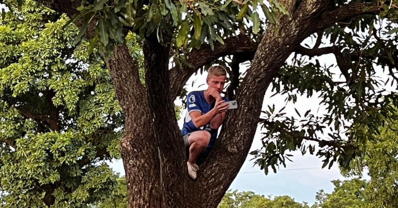 Cameraman en razende reporter