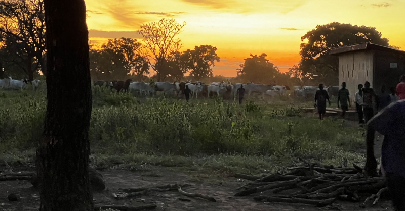 Genieten van zonsondergang