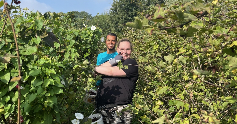 Bessen plukken bij Tres Jolie