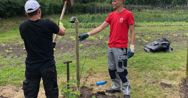 Werk in de tuin