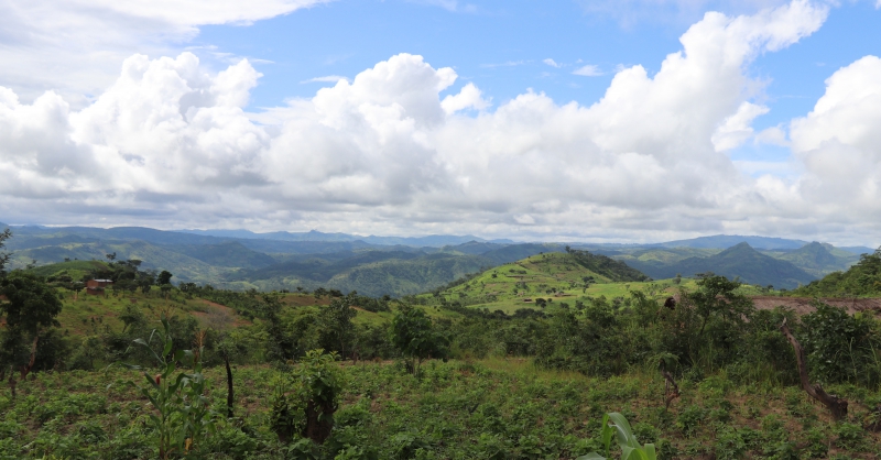 View from the school