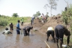 Excavating sand from the river 